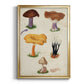 Mushroom Species VII - Modern Framed Canvas Print