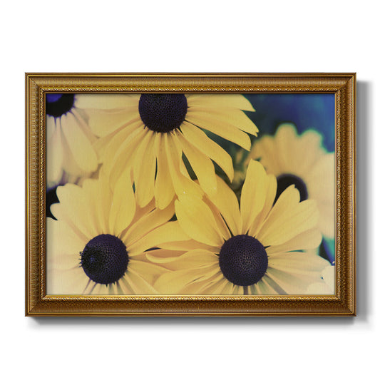 Susans II - Ornate Framed Canvas Print