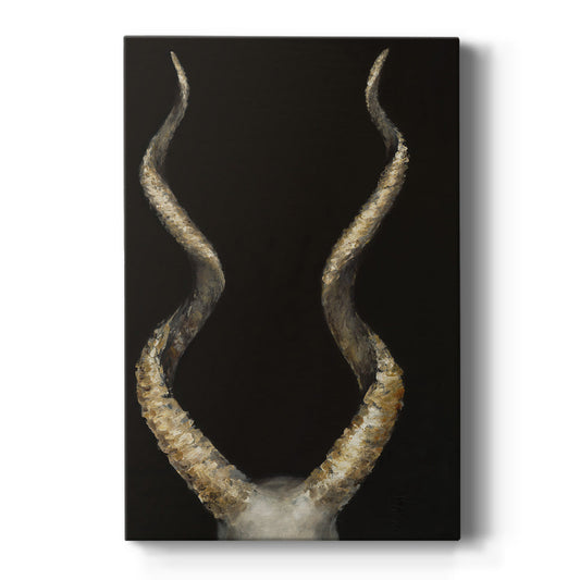 Spiral Antelope Horns - Canvas Art Print