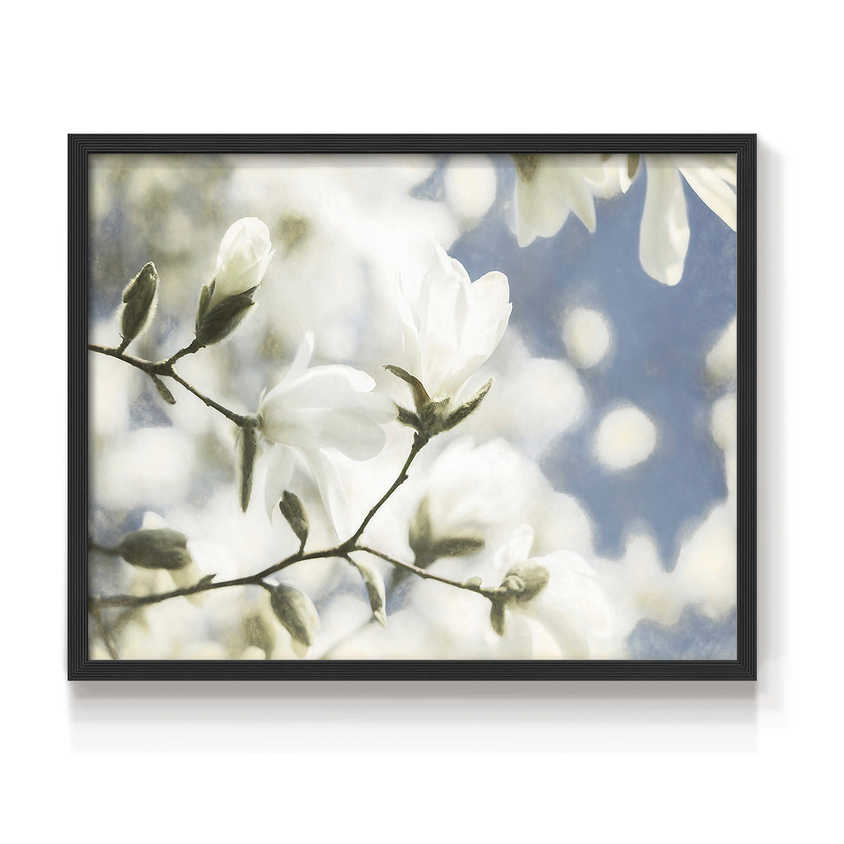 43929,magnolia,blossoms,spring,flowers,garden,blue sky,nature,beauty,tranquility,blooming,sunlight,botanical,peaceful,outdoors,flora,petals,branches,park,season,fresh,growth,serene,scenic,backdrop,environment,landscape,sweet,charm,floral,organic,foliage,springtime,seasonality,colors,trees,nature lovers,wildlife,aesthetic,Re-stickable,Plants & Flowers