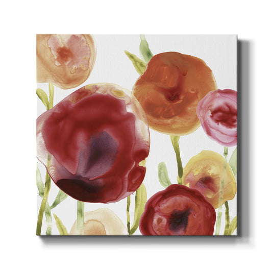 Poppy Patch III - Canvas Art Print