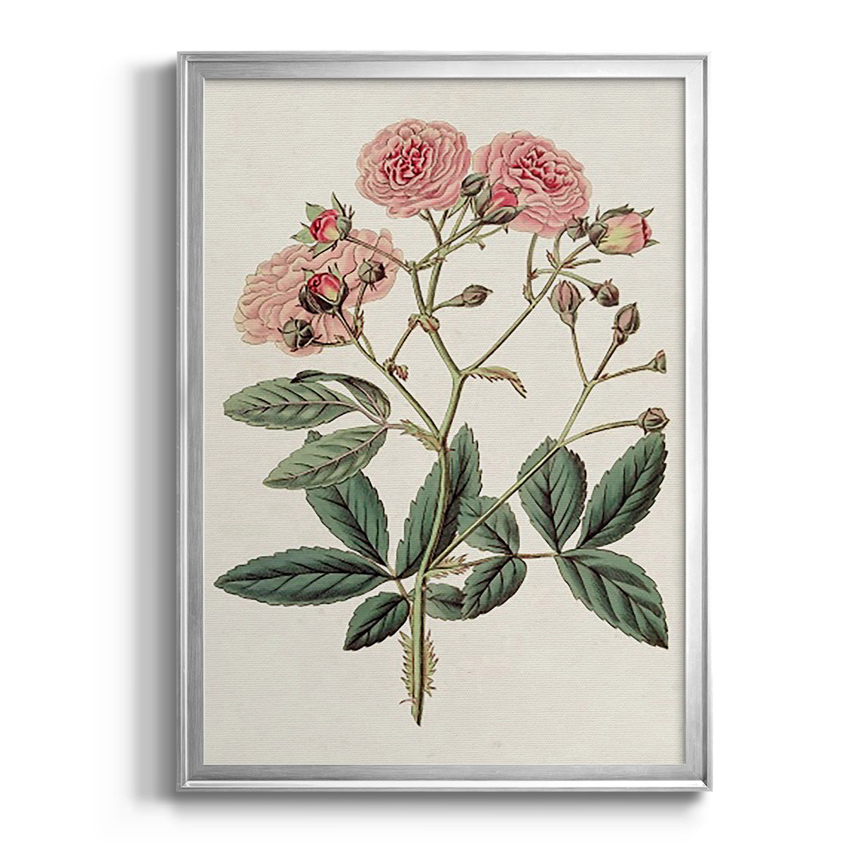 Pink Floral Mix V - Modern Framed Canvas Print