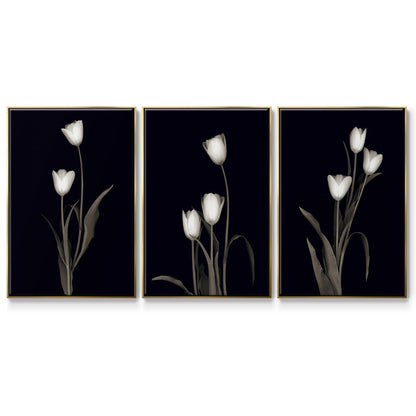 Tulip Pose I - Floater Framed Canvas Set
