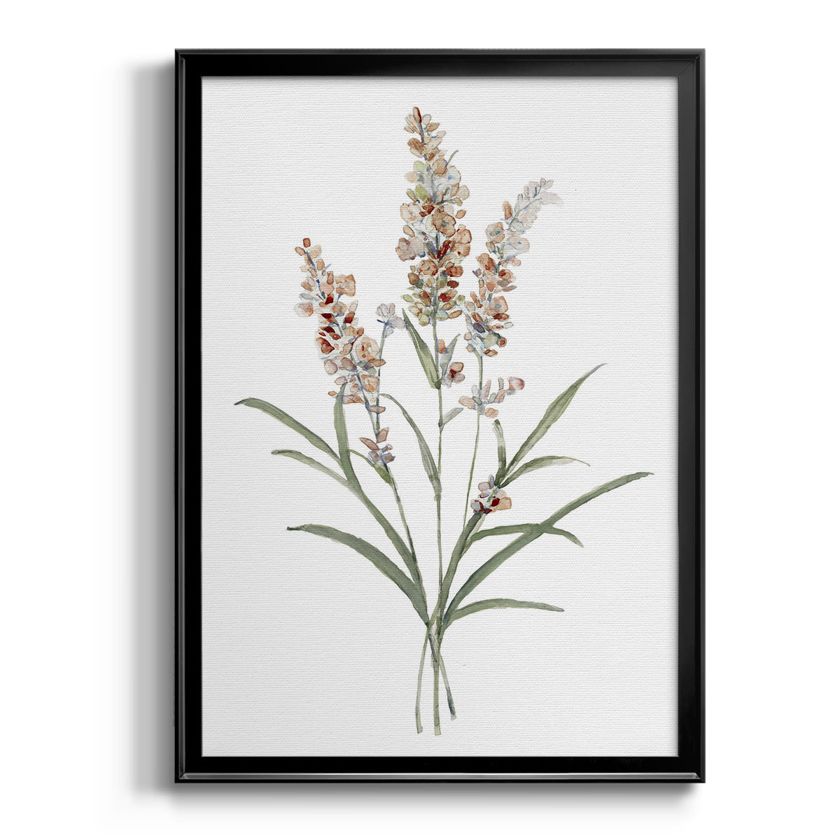 Dainty Botanical I - Modern Framed Canvas Print