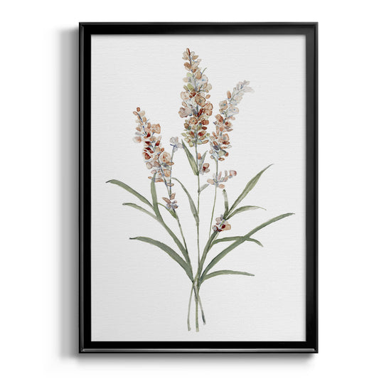 Dainty Botanical I - Modern Framed Canvas Print