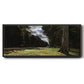 The Road of Chailly in the Fontainbleau Forest, 1865 - Floater Framed Canvas Print