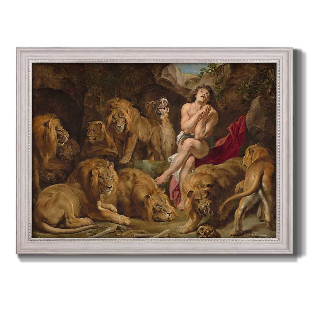 Dramatic biblical painting of Daniel with lions by Peter Paul Rubens printed on canvas in an ornate weathered white frame.