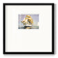 Golden Sail III - Double Matboard Framed Print