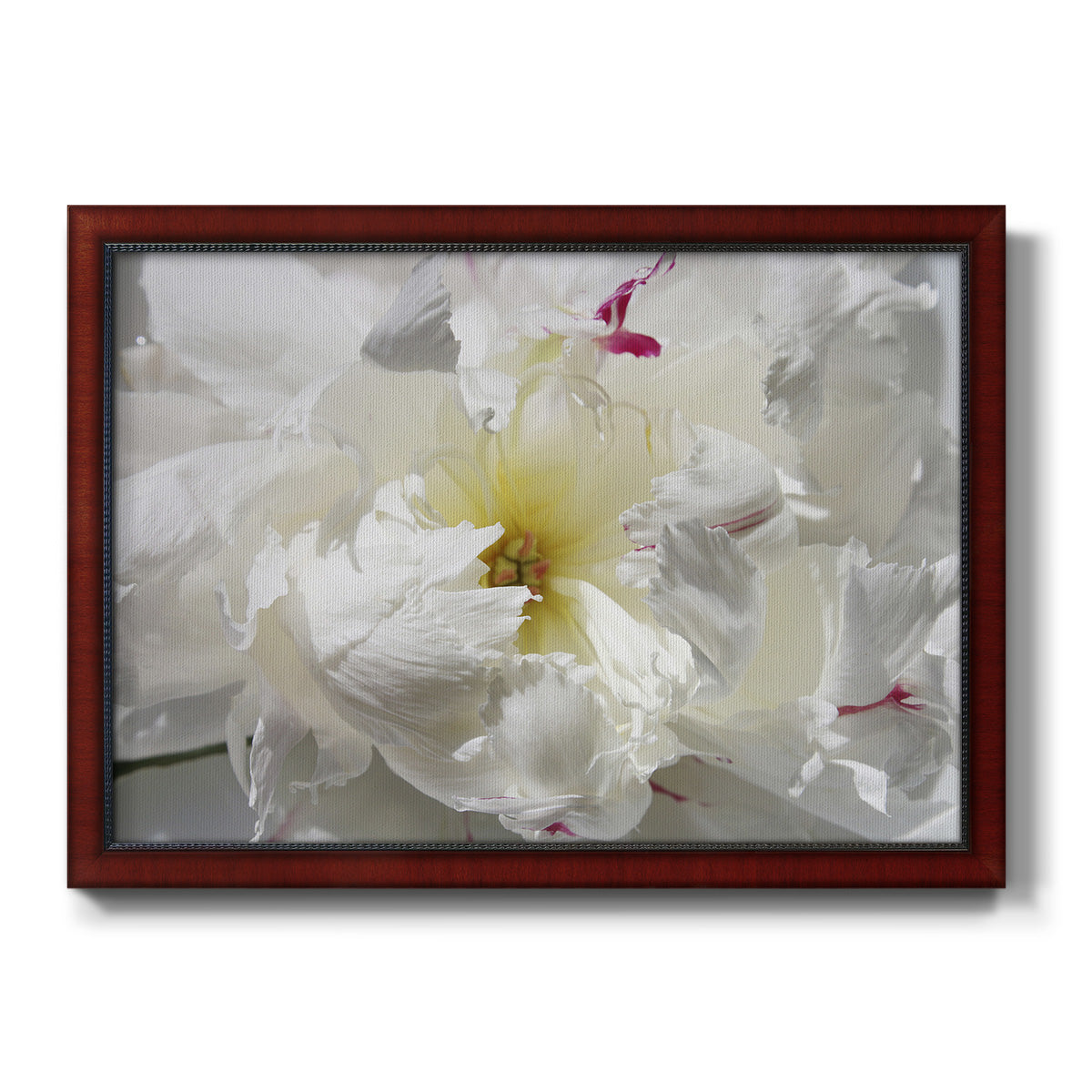 Breathless II Premium Framed Canvas- Ready to Hang