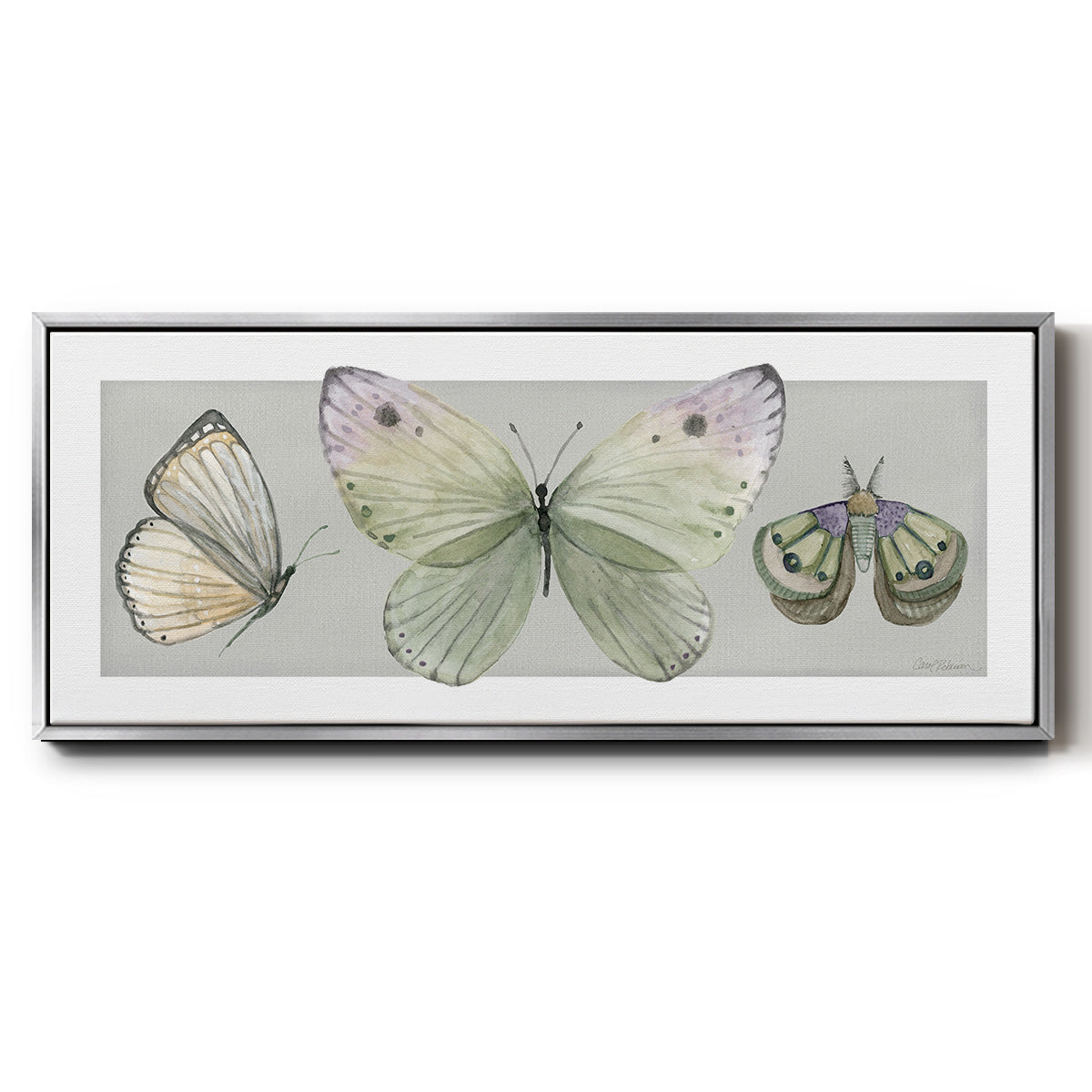 Pretty Insects II - Floater Framed Canvas Print