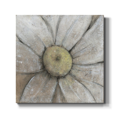 Close-Up Daisy II - Canvas Art Print