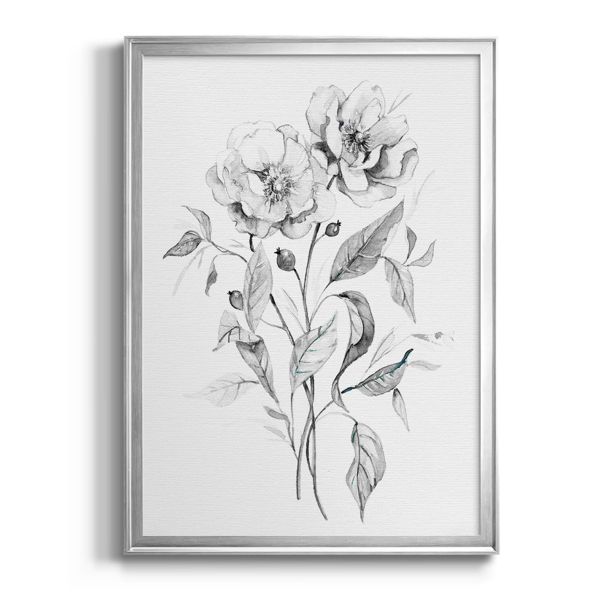 Wild Roses Sketch - Modern Framed Canvas Print