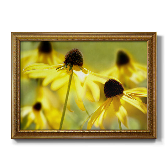 Susan Study II - Ornate Framed Canvas Print