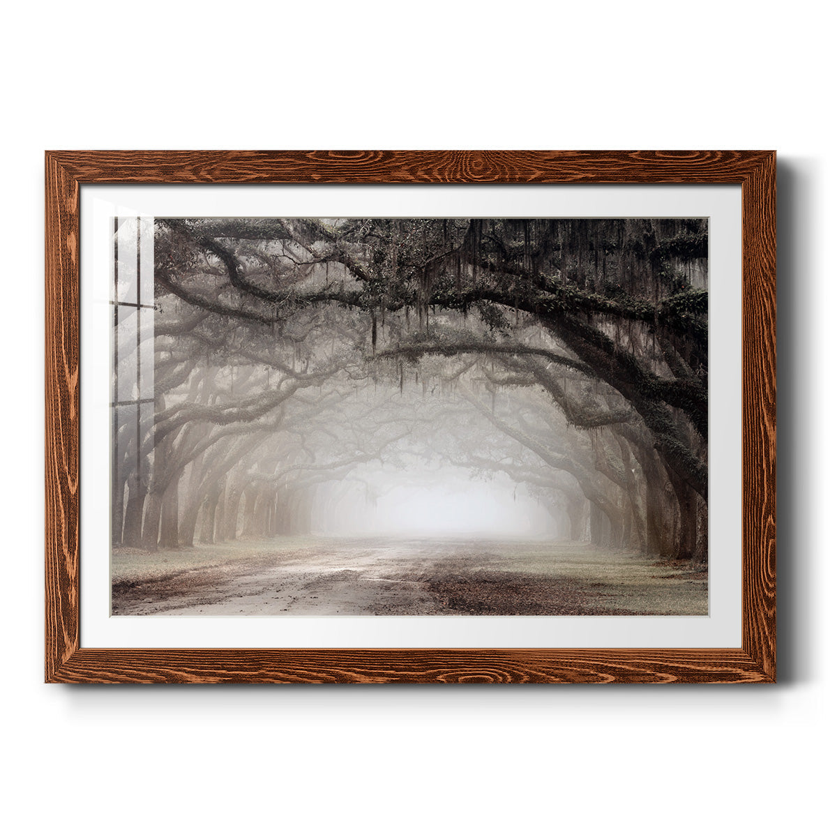 Timeless Plantation Drive - Barnwood Framed Art Print