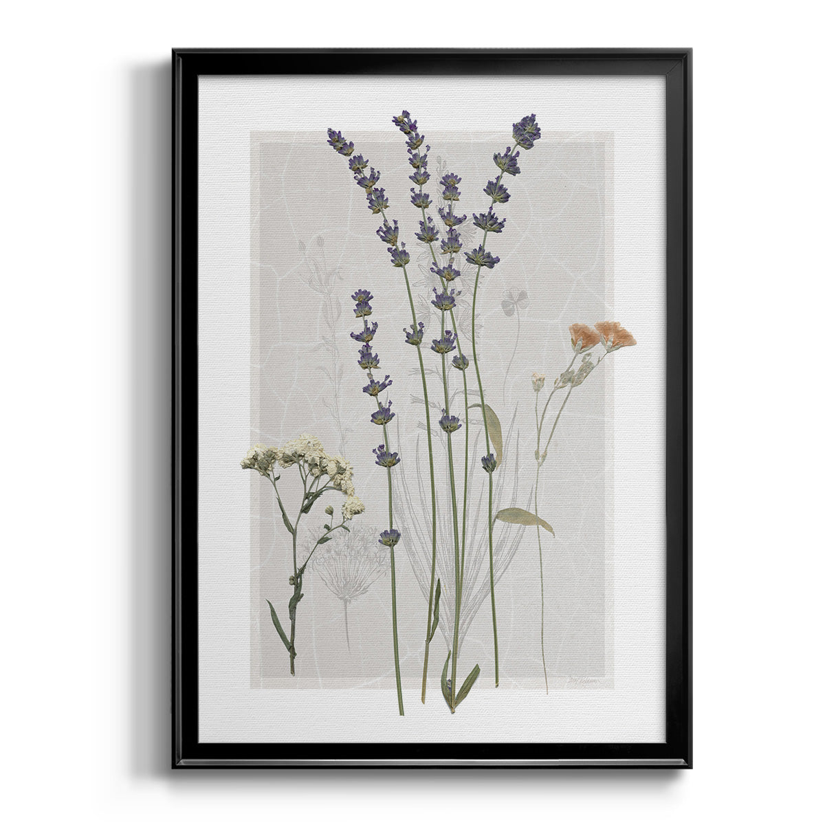 Field Study Page I - Modern Framed Canvas Print