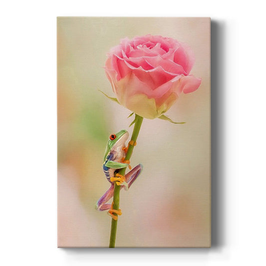 Hanging On II - Canvas Art Print