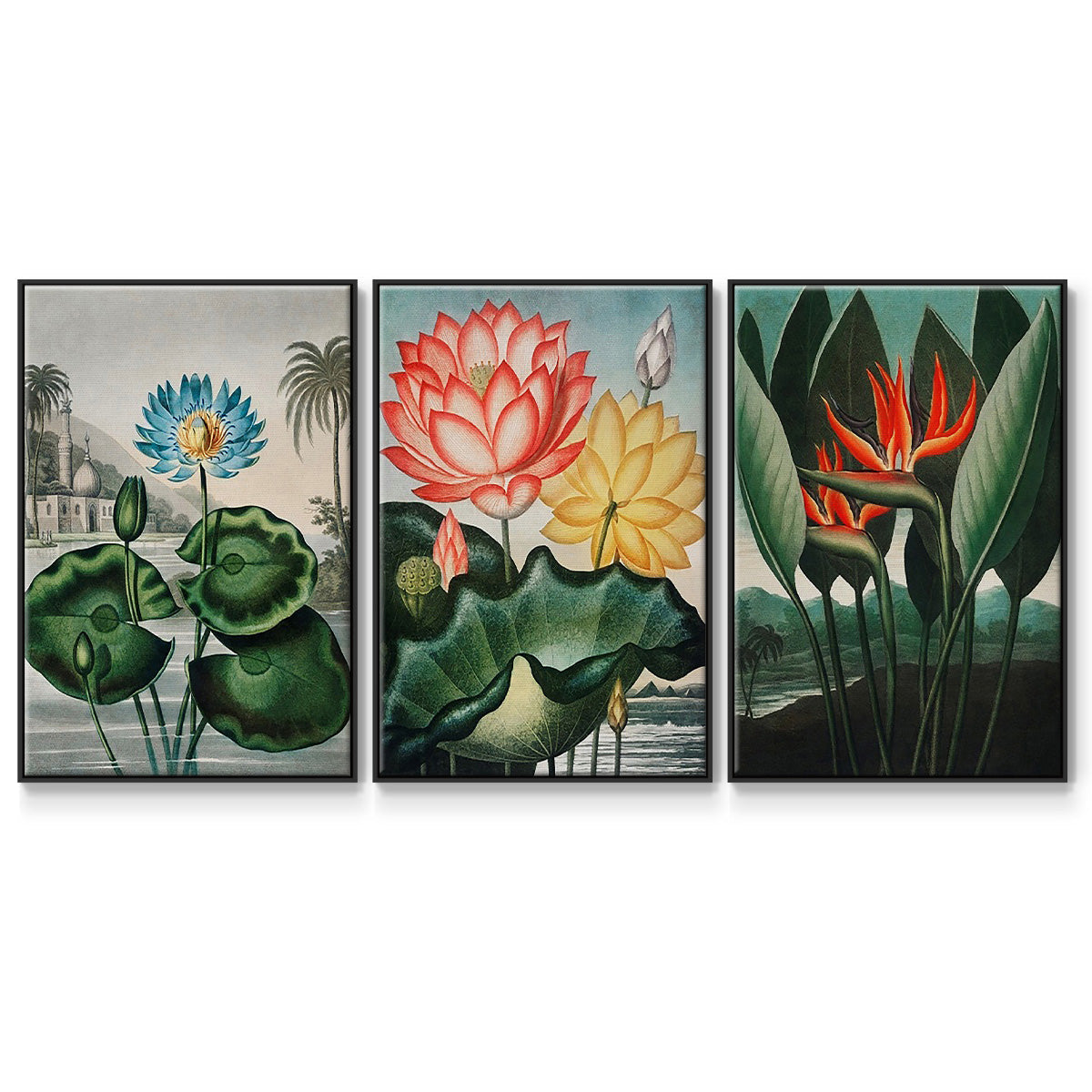 Temple of Flora IV - Framed Premium Gallery Wrapped Canvas L Frame 3 Piece Set - Ready to Hang