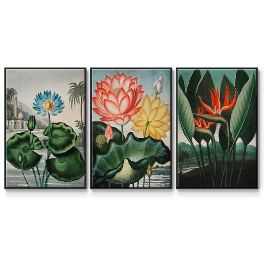 Temple of Flora IV - Floater Framed Canvas Set