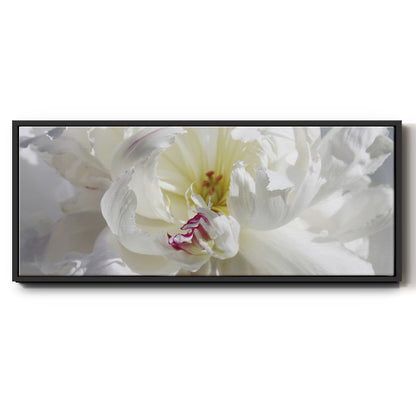 Breathless V - Floater Framed Canvas Print