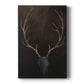 Buck - Canvas Art Print