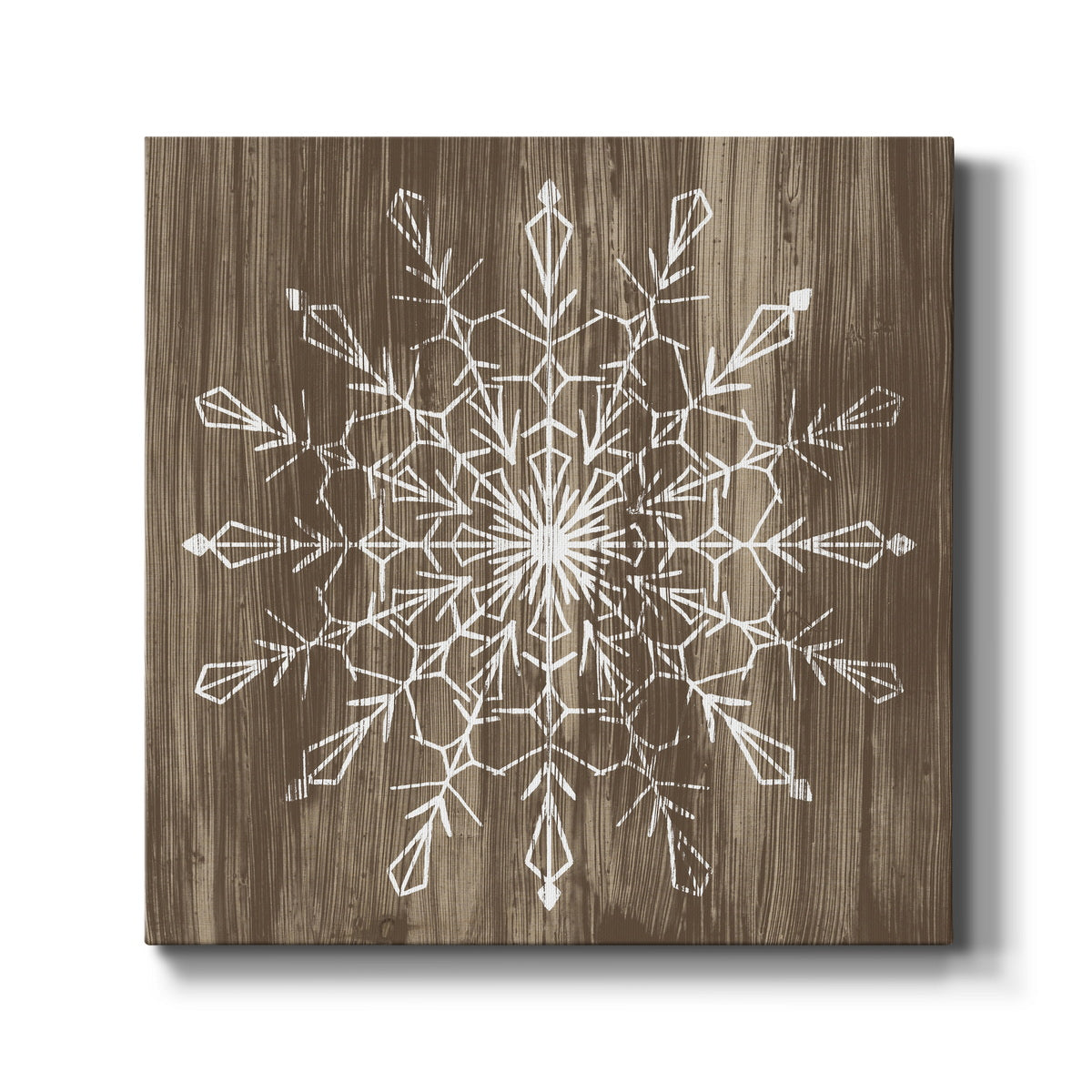 Barnwood Wonderland VI-Premium Gallery Wrapped Canvas - Ready to Hang