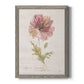 Soft Poppy - Barnwood Framed Canvas Print