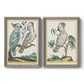 Pastel Birds I - Premium Framed Canvas 2 Piece Set - Ready to Hang