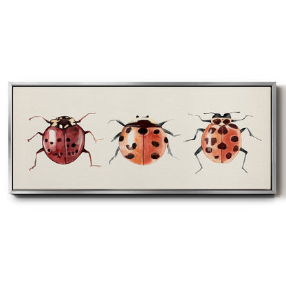 Ladybug Display I - Floater Framed Canvas Print
