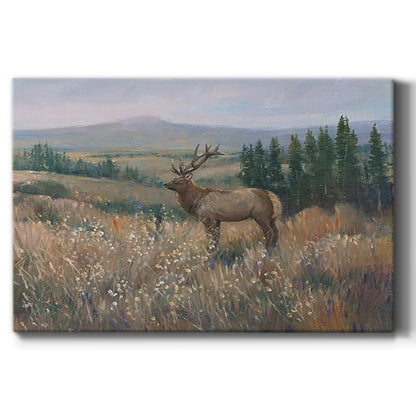 Western Wildlife II - Canvas Art Print
