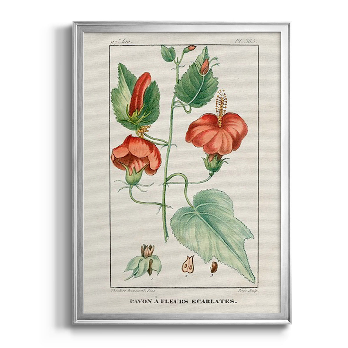 Turpin Tropical Botanicals IV - Modern Framed Canvas Print