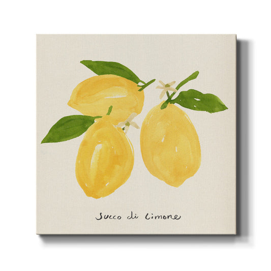 Citrus Trattare I - Canvas Art Print