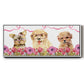 Puppy Valentine Collection D - Floater Framed Canvas Print