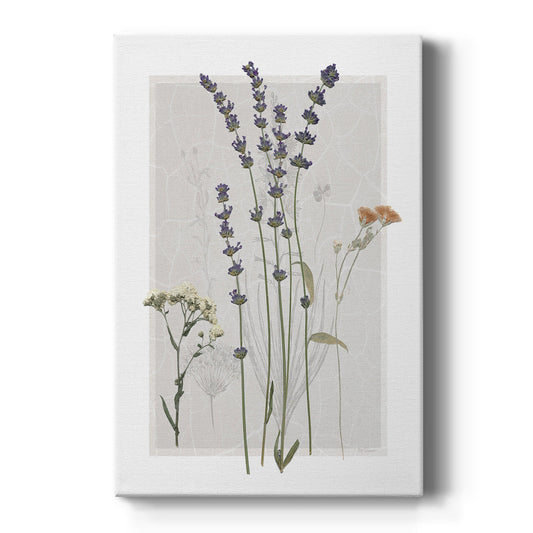 Field Study Page I - Canvas Art Print