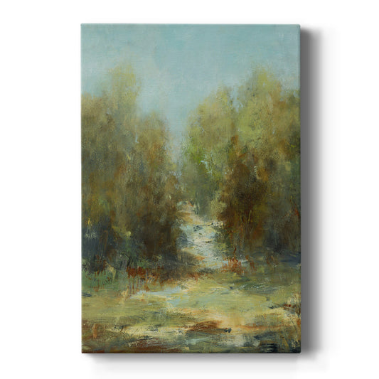 A Walk In The Woods - Canvas Art Print