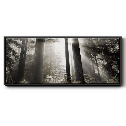 Morning Light - Floater Framed Canvas Print