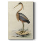 Antique Heron II Premium Gallery Wrapped Canvas - Ready to Hang