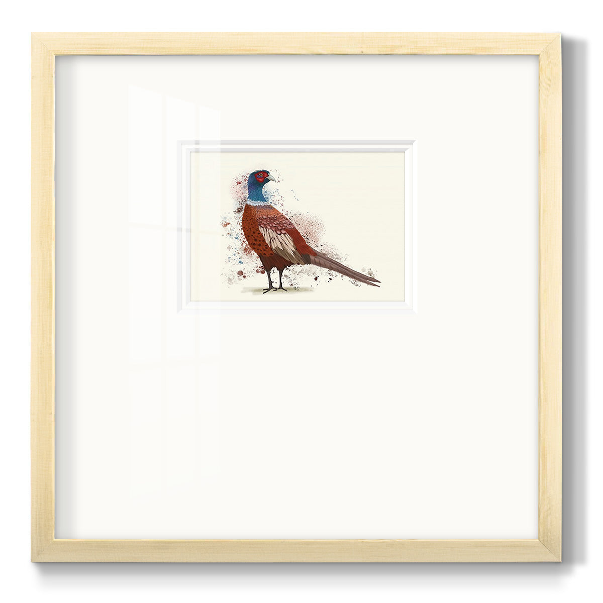 Pheasant Splash 5 - Double Matboard Framed Print