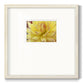 Blooms I Premium Framed Print Double Matboard