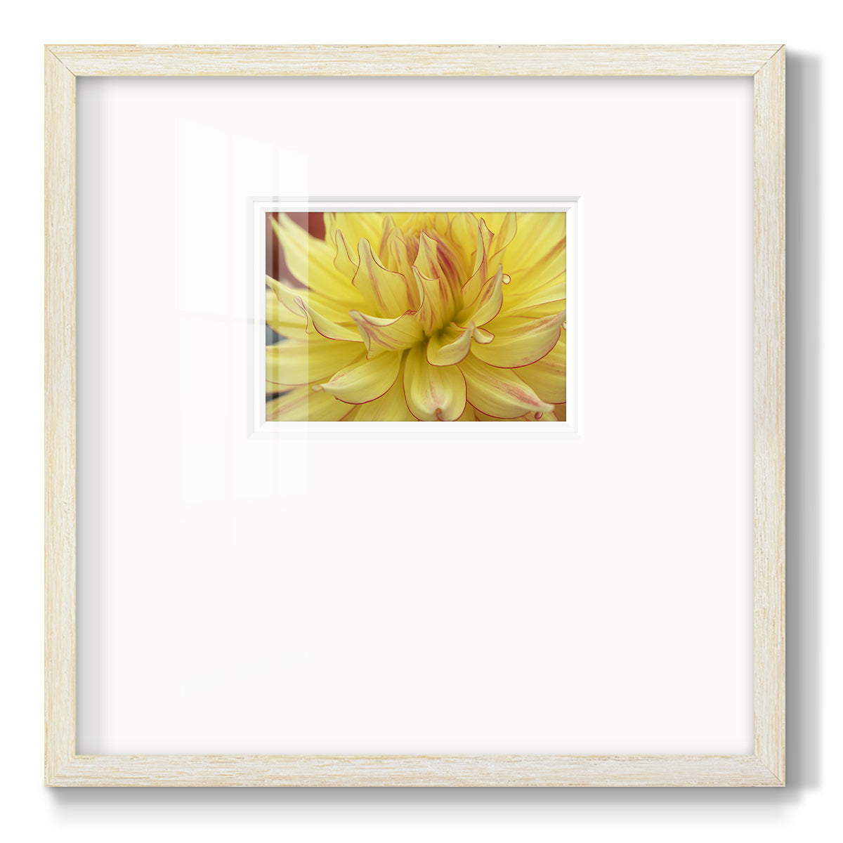 Blooms I Premium Framed Print Double Matboard