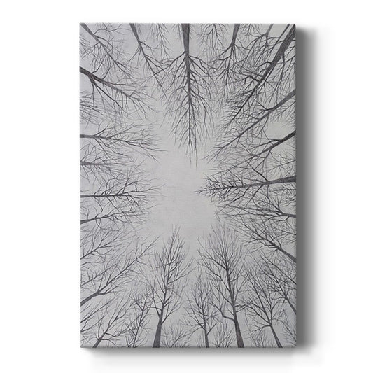 Deciduous Canopy I - Canvas Art Print