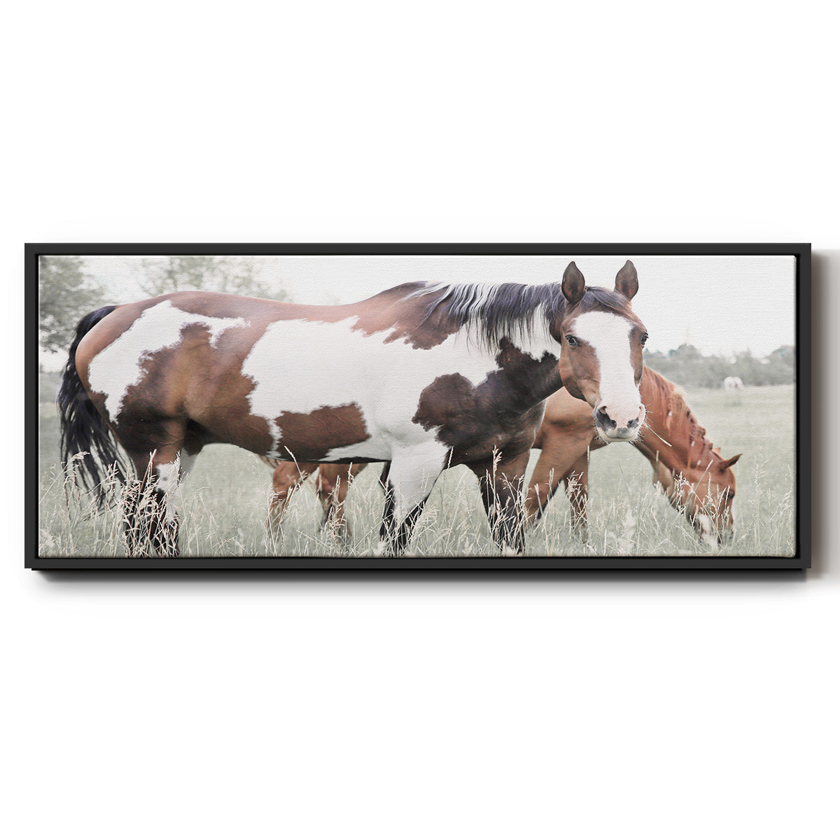 Grazin' - Floater Framed Canvas Print