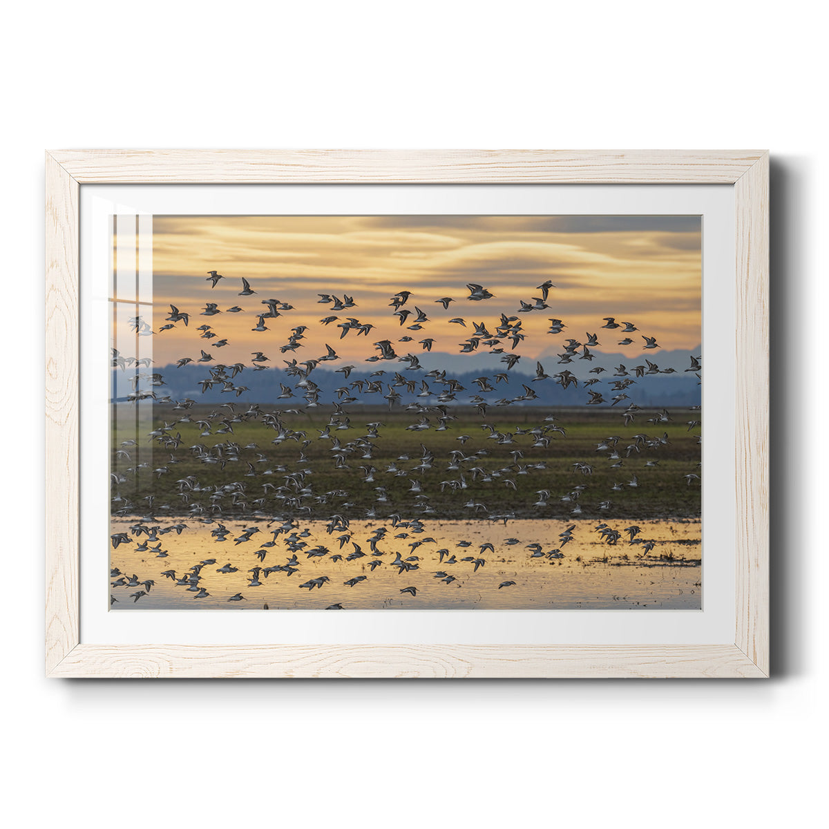 Sunset Flight - Barnwood Framed Art Print