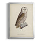 French Owls V - Modern Framed Canvas Print