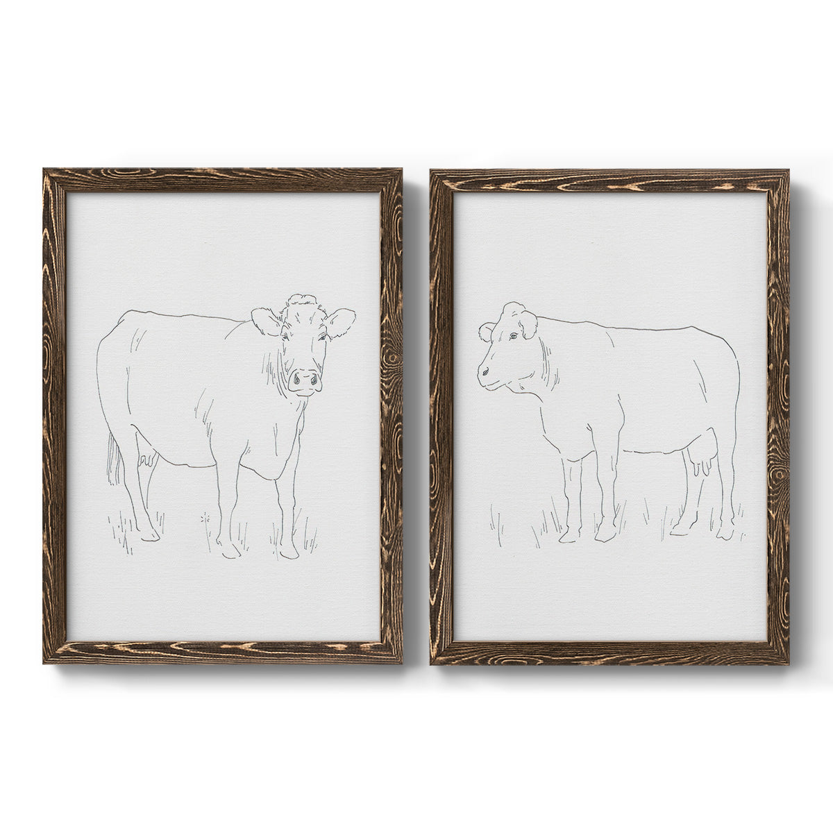 Set of two walnut barnwood framed canvas prints featuring two minimalist livestock sketches featuring simple contour drawings of standing cows.
