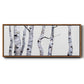 Birch Trees I - Floater Framed Canvas Print