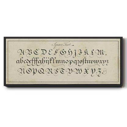 Manuscript Sampler III - Floater Framed Canvas Print