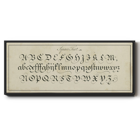 Manuscript Sampler III - Floater Framed Canvas Print