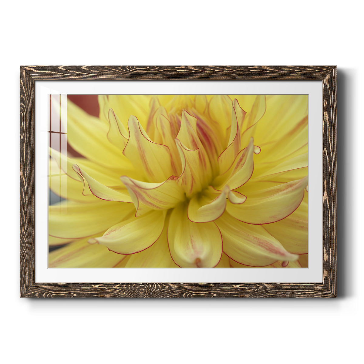 Blooms I - Barnwood Framed Art Print