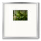Arboreal Refuge - Double Matboard Framed Print