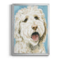 Labradoodle II - Modern Framed Canvas Print